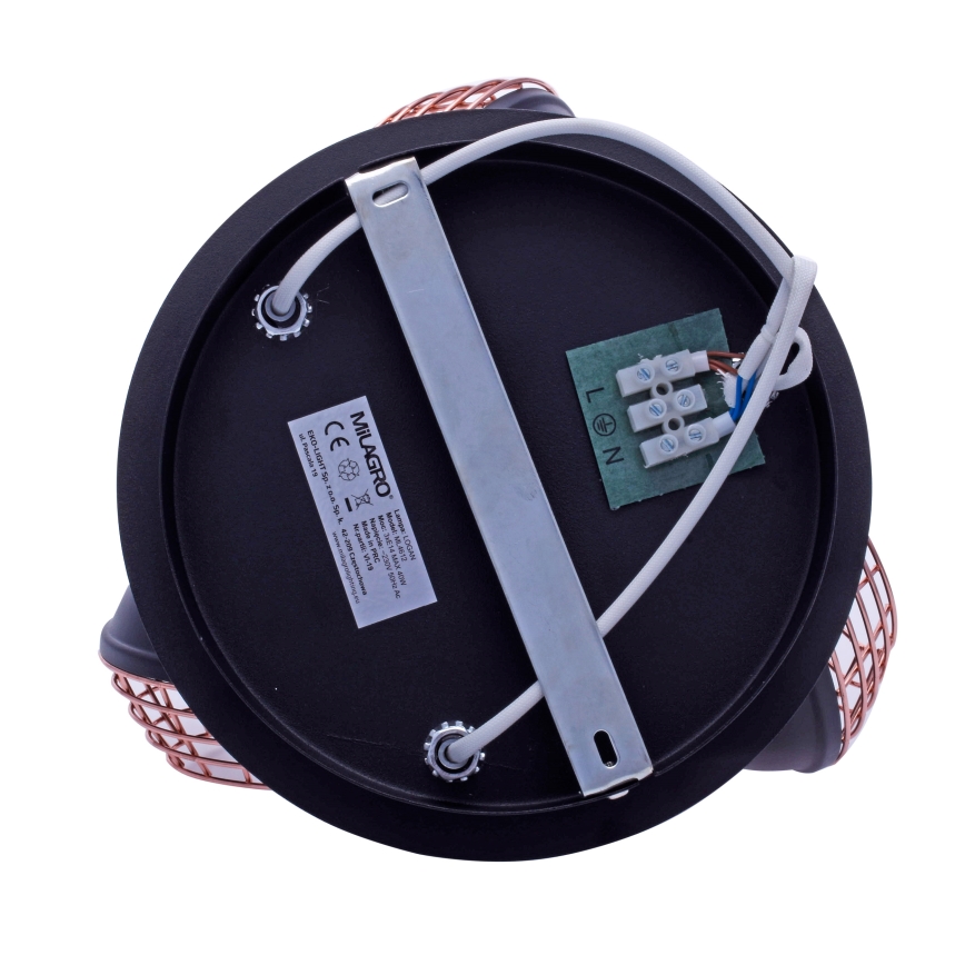 Kohdevalo LOGAN 3xE14/40W/230V