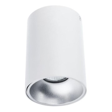 Kohdevalo TUBA 1xGU10/50W/230V valkoinen
