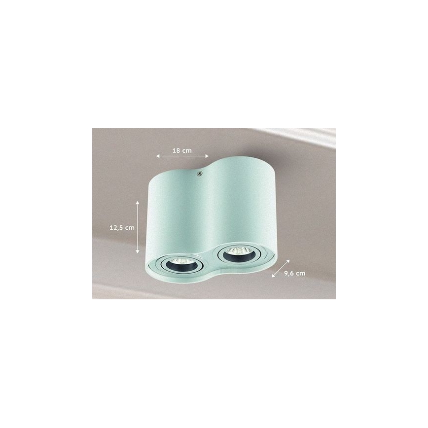 Kohdevalo TUBA 1xGU10/50W/230V valkoinen