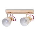 Kohdevalo VIANA 2xE27/60W/230V