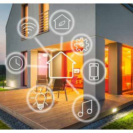 Kosketuskytkin yksinapainen SMART 800W / 230V Wi-Fi Tuya