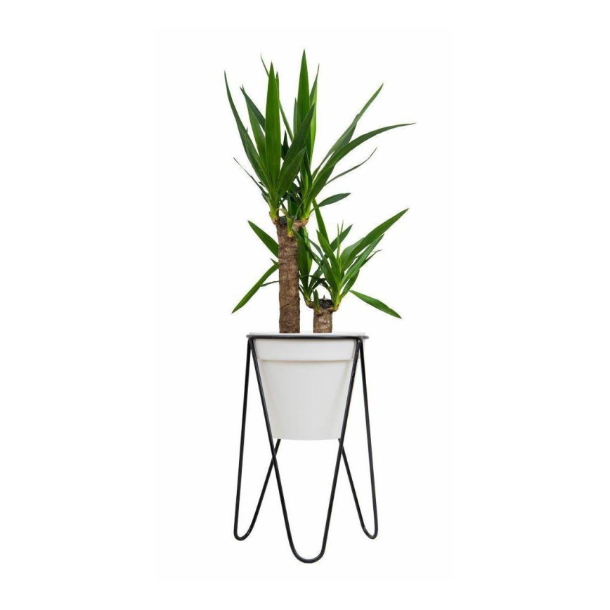 Kukkateline LOFT 50x30 cm musta