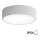 Kylpyhuoneen kattovalaisin CLEO 2xE27/24W/230V d. 30 cm harmaa IP54