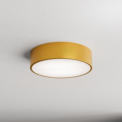 Kylpyhuoneen kattovalaisin CLEO 2xE27/24W/230V d. 30 cm kulta IP54