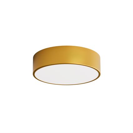 Kylpyhuoneen kattovalaisin CLEO 2xE27/24W/230V d. 30 cm kulta IP54