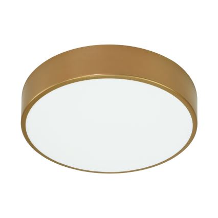 Kylpyhuoneen kattovalaisin CLEO 3xE27/24W/230V d. 40 cm kulta IP54