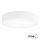 Kylpyhuoneen kattovalaisin CLEO 3xE27/24W/230V d. 40 cm valkoinen IP54