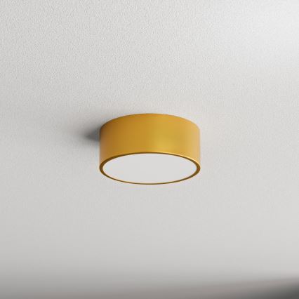 Kylpyhuoneen kattovalaisin CLEO tunnistimella 1xE27/24W/230V Ø 20 cm IP54, kullanvärinen