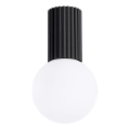 Kylpyhuoneen kattovalaisin HALO 1xG9/8W/230V halkaisija 12 cm IP44 musta