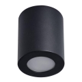 Kylpyhuoneen kattovalo SANI 1xGU10/10W/230V IP44 musta