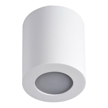 Kylpyhuoneen kattovalo SANI 1xGU10/10W/230V IP44 valkoinen