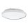 Kylpyhuoneen kattovalo VICTOR 2xE27/60W/230V IP44