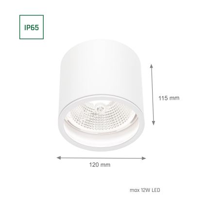 Kylpyhuoneen kohdevalo CHLOE AR111 1xGU10/12W/230V IP65 pyöreä valkoinen
