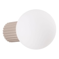 Kylpyhuoneen seinävalaisin HALO 1xG9/8W/230V halkaisija 12 cm IP44 beige