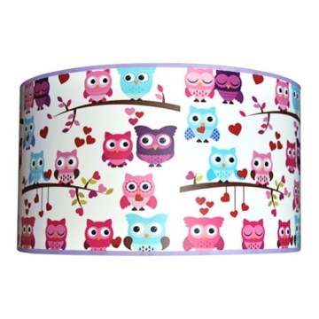 Lasten kattovalaisin OWLS 2xE27/60W/230V