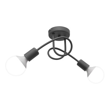 Lasten pinta-asennettava kattovalaisin OXFORD 2xE27/15W/230V harmaa
