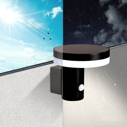 LED-aurinkokenno seinävalaisin anturilla SOLARIS3 LED / 5,5W / 3,7V 4000K IP44