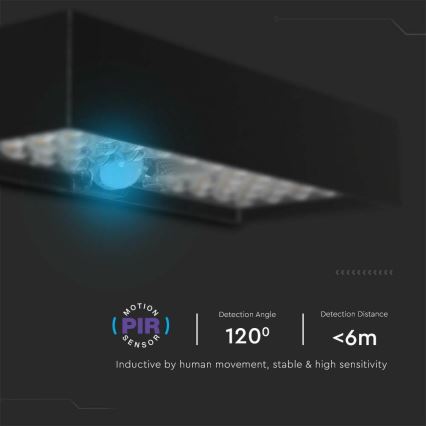 LED aurinkokenno seinävalo anturilla LED/6W/3,7V IP65 4000K musta