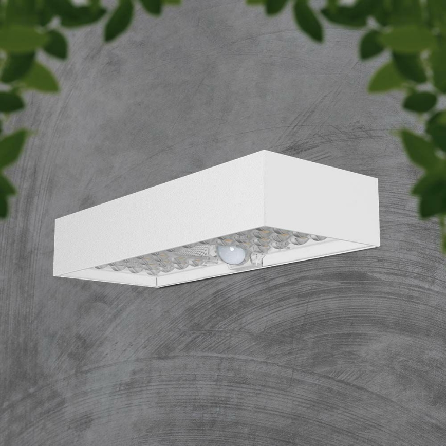 LED aurinkokenno seinävalo anturilla LED/6W/3,7V IP65 4000K valkoinen