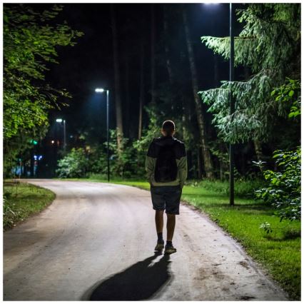 LED Himmennettävä aurinko katu lamppu kanssa motion ja dusk sensori URBI LED/8W/3,2V 6500K IP54 + kauko-ohjaus