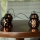 LED-aurinkokennoketju 60xLED/2m IP44