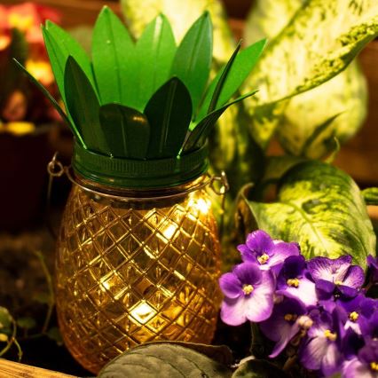 LED aurinkokennovalo JAR LED/1,2V 150 mAh IP44 ananas