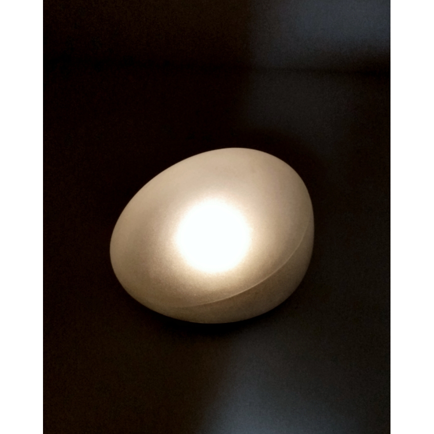 LED-aurinkolamppu 2xLED/1,2V 300 mAh IP44 musta/valkoinen