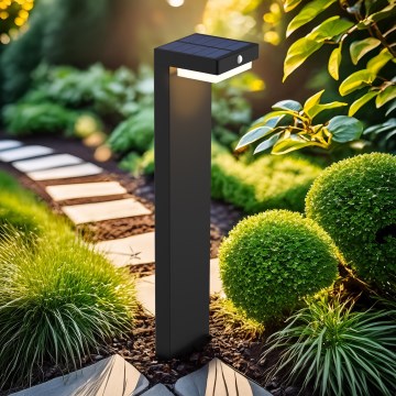 LED-aurinkolamppu liike- ja hämärätunnistimella PALERMO LED/5W/2000 mAh IP54 musta