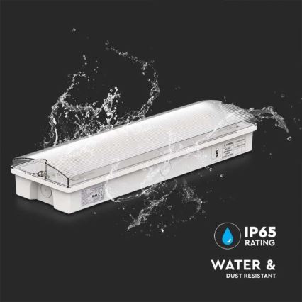LED-hätävalo säännöllisen toimintatestin kanssa EMERGENCY EXIT LED/3W/230V 6400K IP65