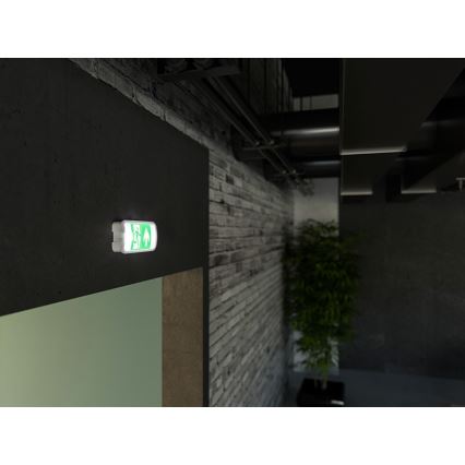 LED-hätävalo VIRGO EVO LED/1W/230V 6000K IP65