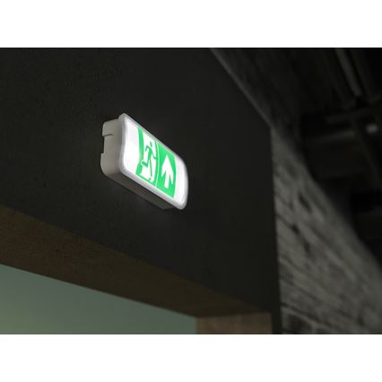 LED-hätävalo VIRGO EVO LED/1W/230V 6000K IP65