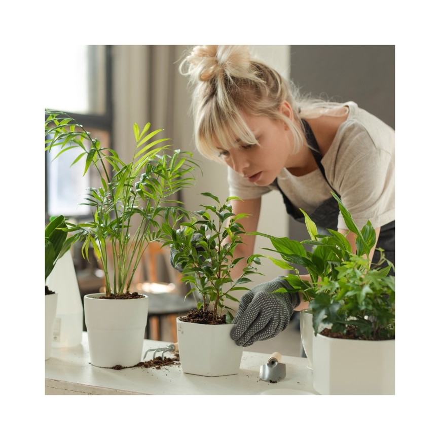 Himennettävä LED-pöytälamppu kasvien kasvatukseen VERDI LED/12W/230V 4500K CRI 95 valkoinen