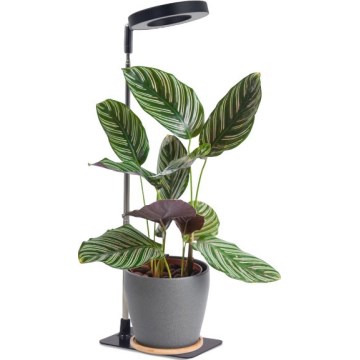 LED-himennettävä pöytälamppu kasvien kasvatukseen VERDI LED/5W/5V 1300K CRI 95 musta