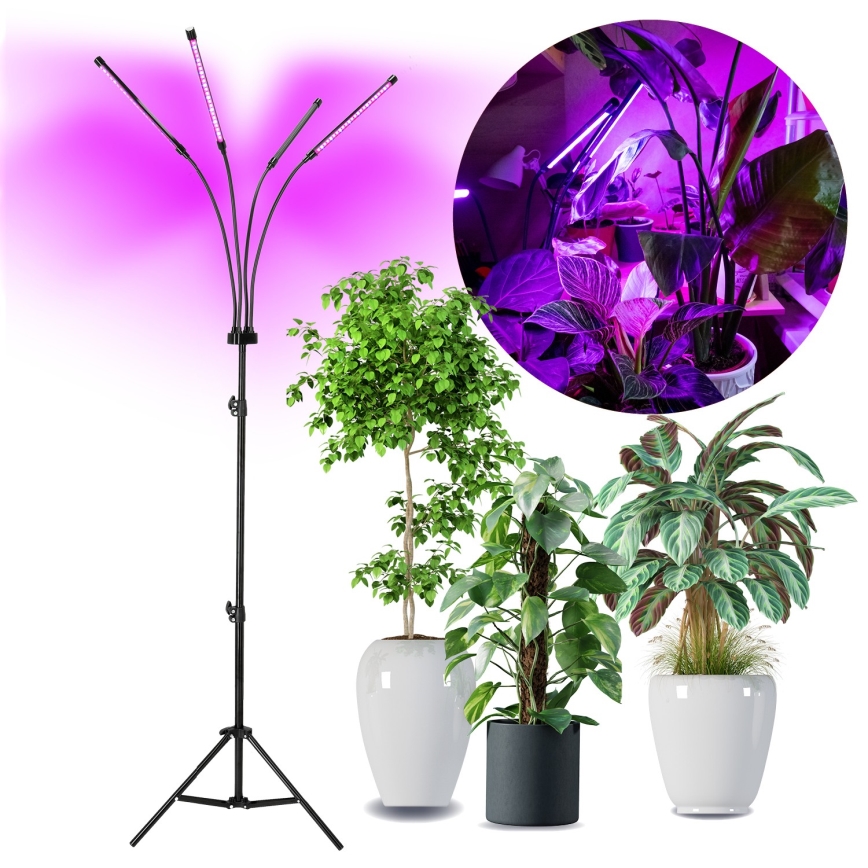 LED Himmennettävä flexible lattialamppu kasvien kasvattamiseen VITARO 4xLED/7,5W/230V musta