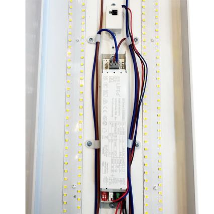 LED Himmennettävä fluoresoiva kevyt LED/35W/44W/52W/60W/230V 4000K 120 cm