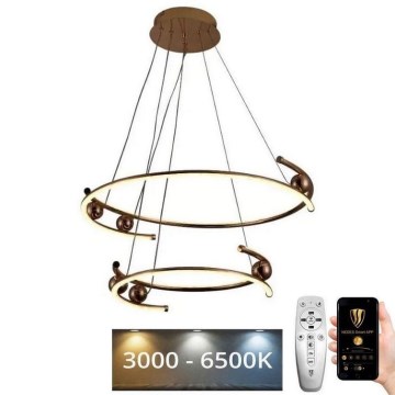 LED himmennettävä kattokruunu johdolla LED/80W/230V 3000-6500K halkaisija 60 cm + kaukosäädin