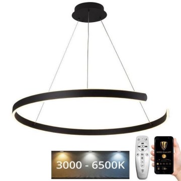 LED-himmennettävä kattokruunu johdossa LED/100W/230V 3000-6500K + kaukosäädin