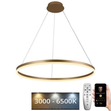 LED-himmennettävä kattokruunu johdossa LED/55W/230V 3000-6500K + kaukosäädin