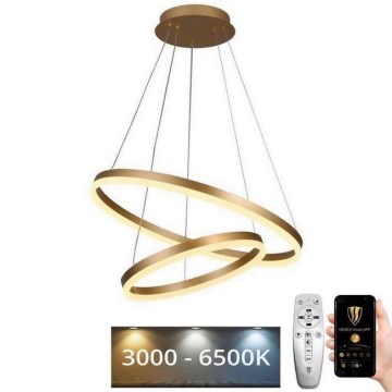 LED Himmennettävä kattokruunu johdossa LED/70W/230V 3000-6500K + kaukosäädin