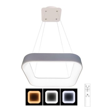LED Himmennettävä kattokruunu johdossa NEST LED/40W/230V 3000-6500K harmaa + kauko-ohjain