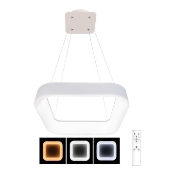 LED Himmennettävä kattokruunu johdossa NEST LED/40W/230V 3000-6500K valkoinen + kaukosäädin