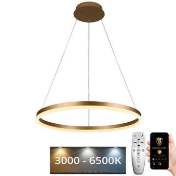 LED Himmennettävä kattokruunu LED/42W/230V 3000-6500K + kaukosäädin