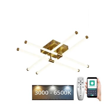 LED himmennettävä kattovalaisin LED/30W/230V 3000-6500K + kaukosäädin