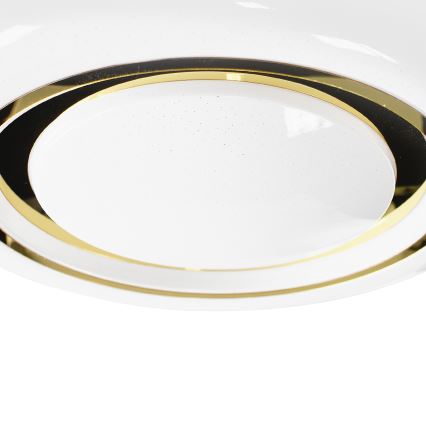 LED Himmennettävä kattovalaisin MEGAN LED/48W/230V 3000-6000K + kaukosäädin