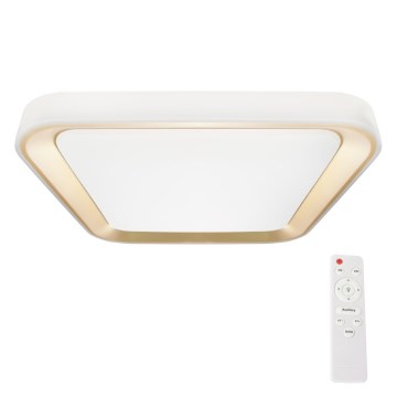 LED Himmennettävä kattovalaisin QUADRO LED/38W/230V 3000-6000K valkoinen/kulta + kaukosäädin