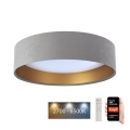 LED Himmennettävä kattovalaisin SMART GALAXY LED/24W/230V d. 45 cm 2700-6500K Wi-Fi Tuya harmaa/kulta + kaukosäädin