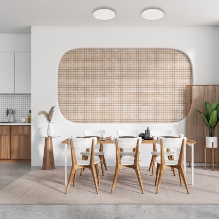 LED Himmennettävä kattovalo ALLISTER LED/36W/230V 3000-6000K + kaukosäädin