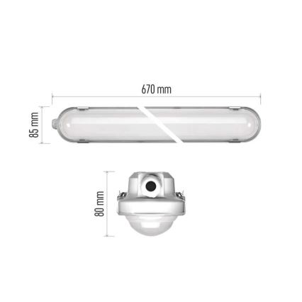 LED Himmennettävä kestävä kevyt MISTY LED/10/13/16/18W/230V 4000/6500K IP66