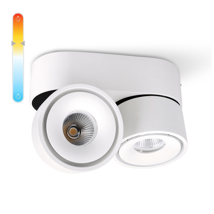 LED Himmennettävä kohdevalo LAHTI MINI 2xLED/9W/230V 3000K CRI 90 valkoinen