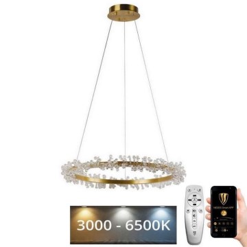LED Himmennettävä kristalli kattokruunu johdossa LED/40W/230V 3000-6500K kulta + kauko-ohjaus